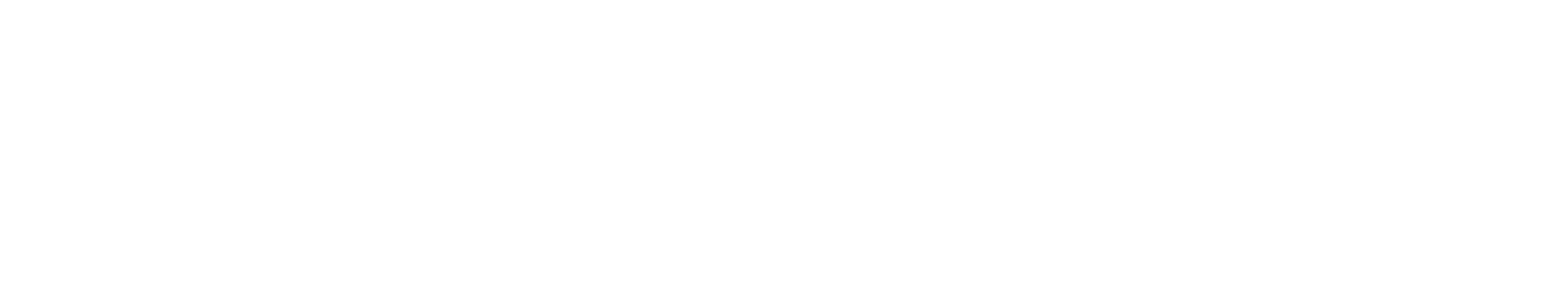 TikTok Shop
